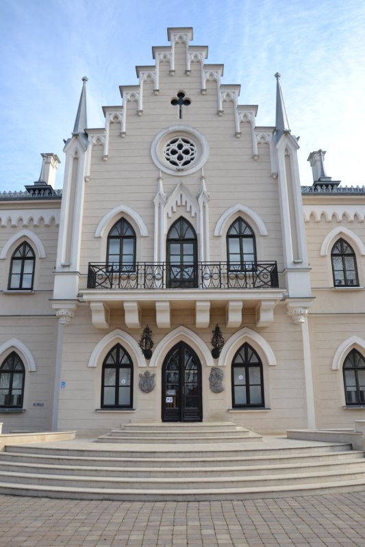 Ruginoasa, singurul cămin al domnitorului Unirii 247021