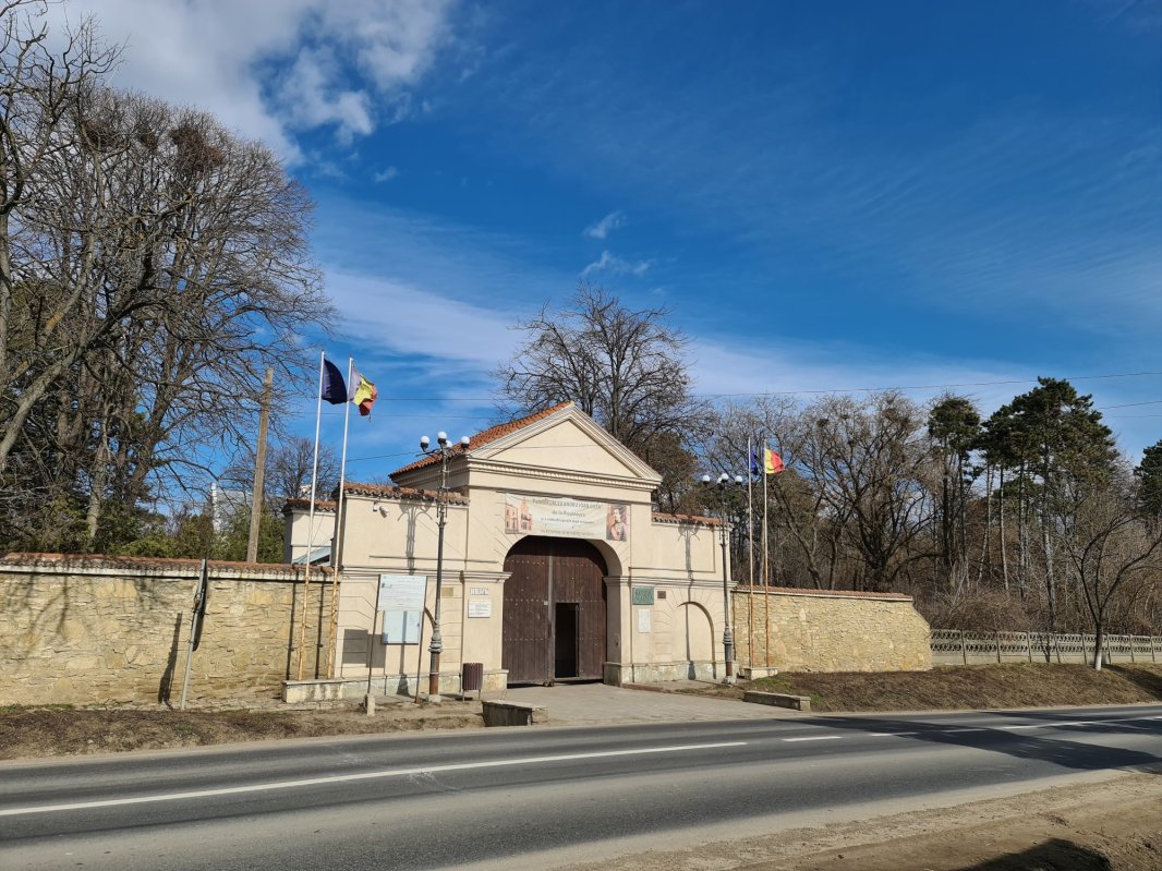 Ruginoasa, singurul cămin al domnitorului Unirii 247026