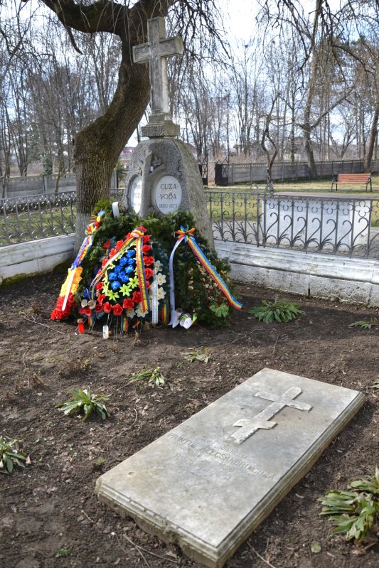 Ruginoasa, singurul cămin al domnitorului Unirii 247027