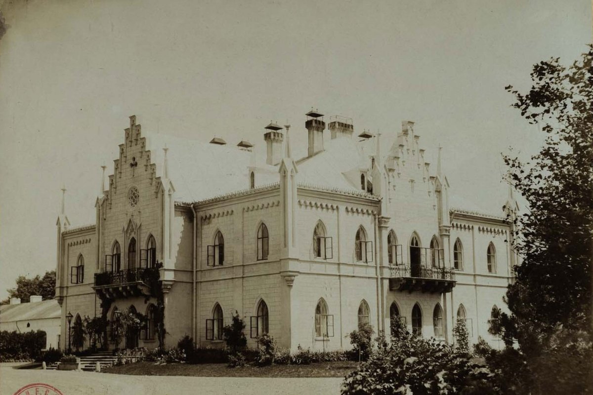 Ruginoasa, singurul cămin al domnitorului Unirii 247042