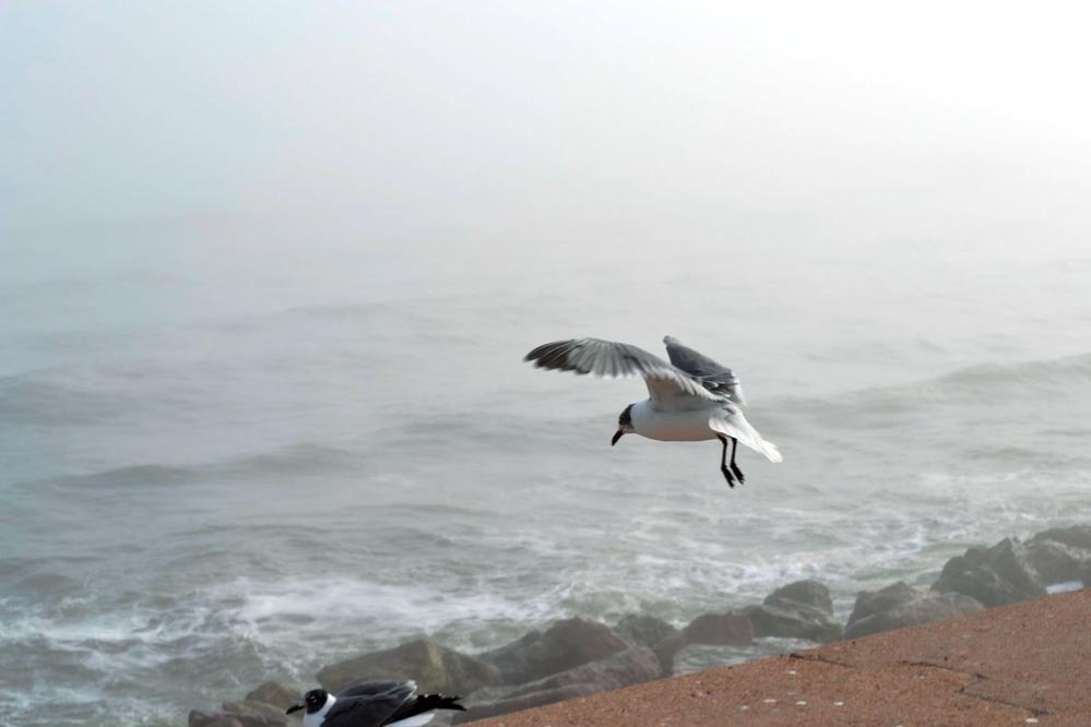 „Progresul, stimabile, progresul!”... 247508