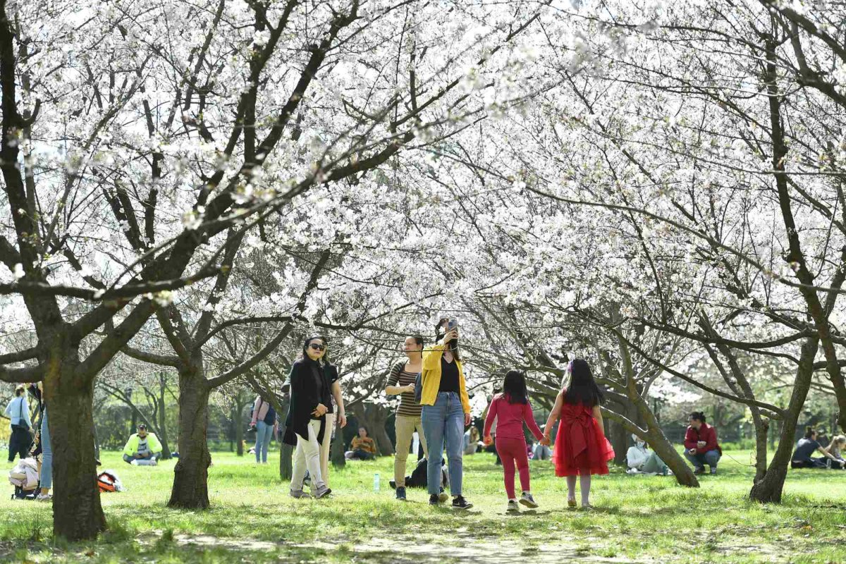 Zile călduroase 247671