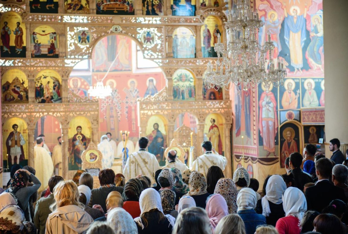 Aproapele și mântuirea noastră 247780