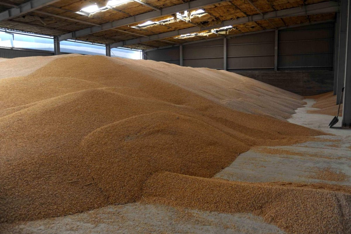 Sume derizorii  pentru despăgubirea fermierilor români 247876