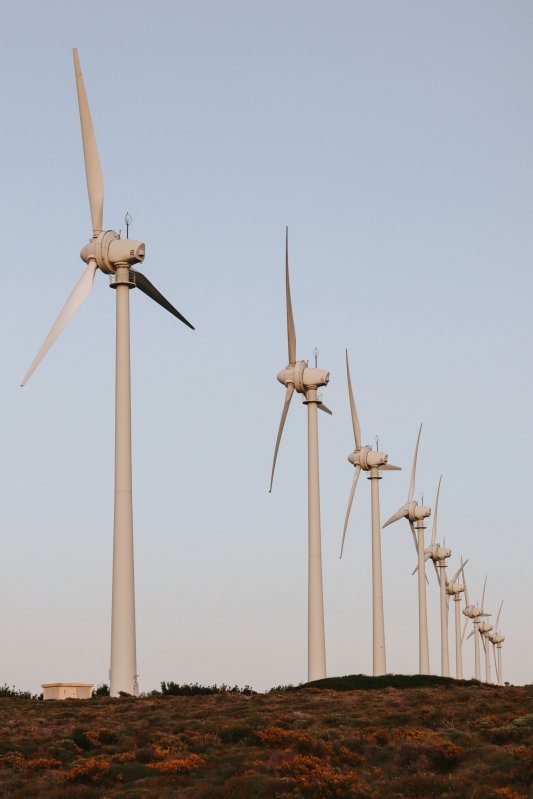 A crescut capacitatea globală de energie regenerabilă 248356