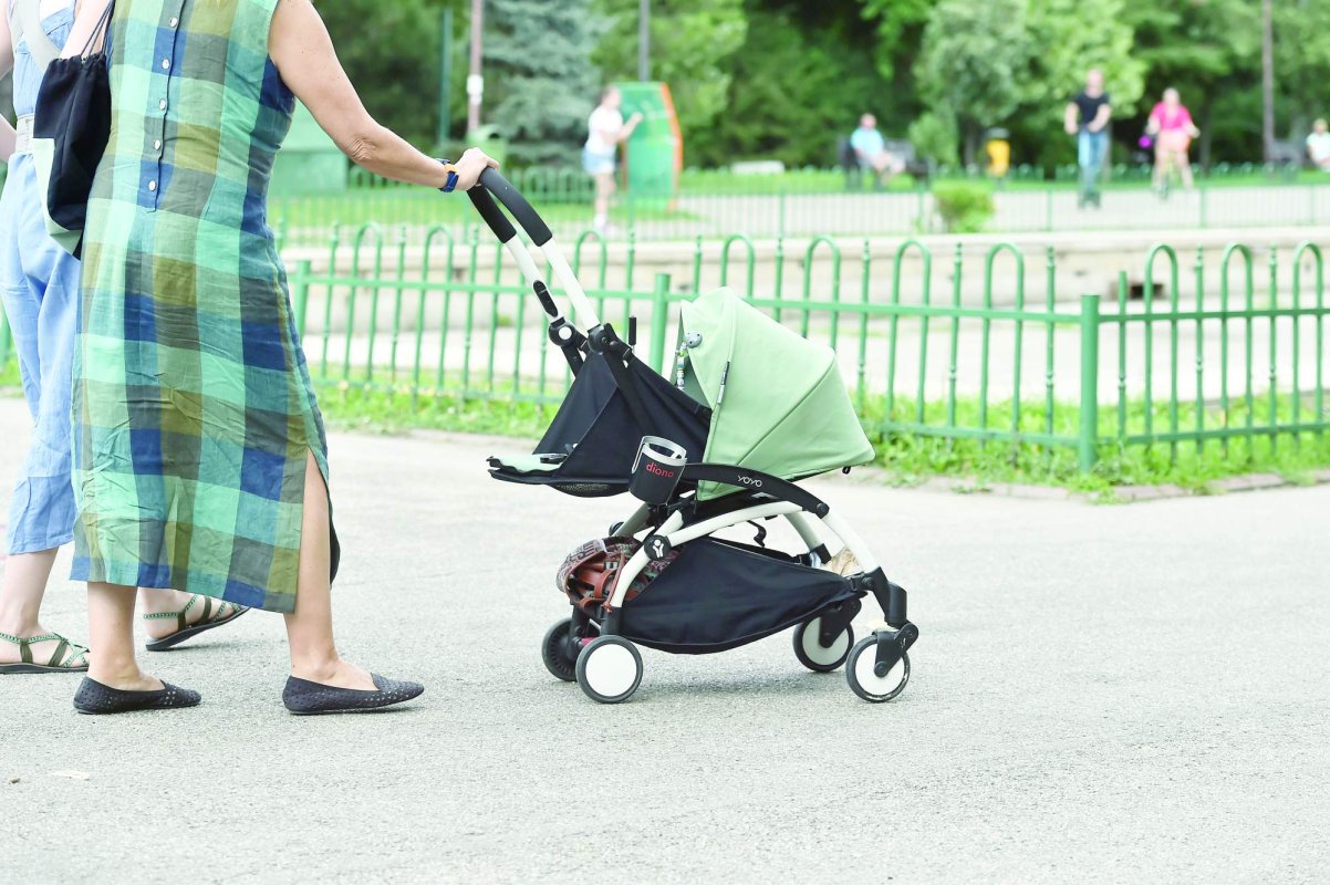 Aplicație pentru părinții copiilor mici 248495