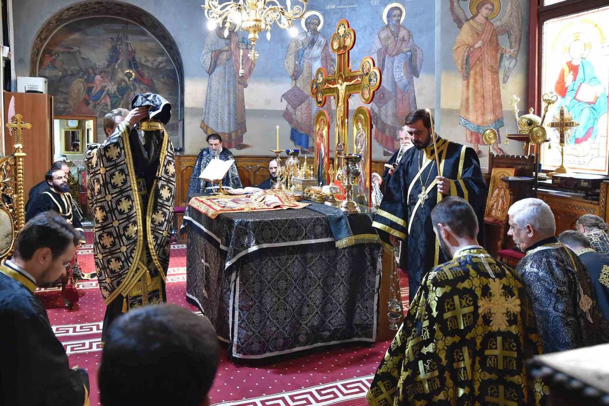 Sclipirile Luminii 248759