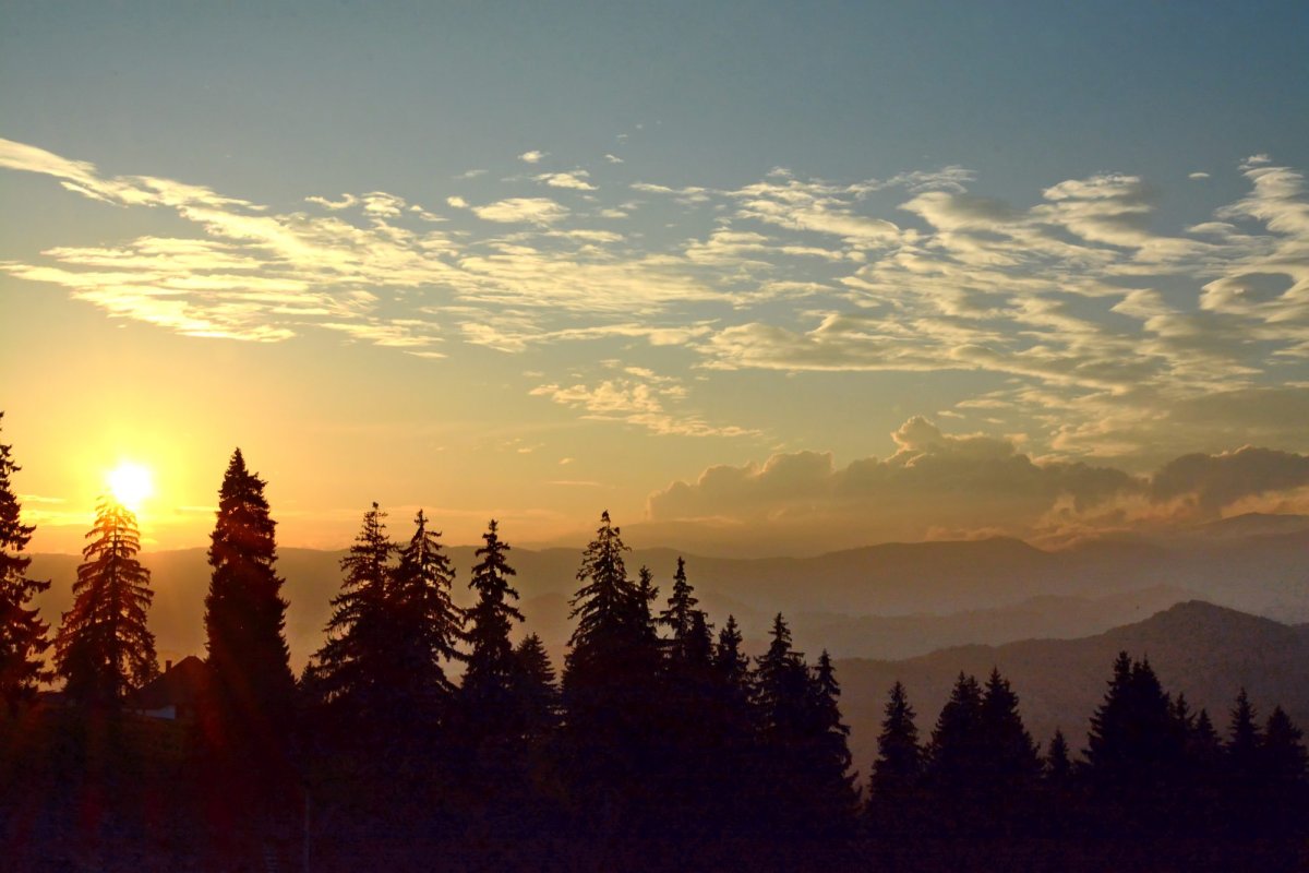 Sclipirile Luminii 248763