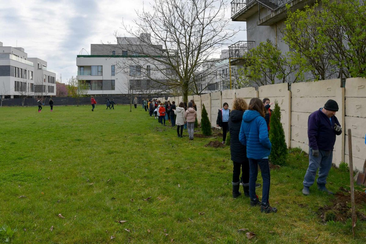 Activitate ecologică la o biserică din nordul Capitalei 249132