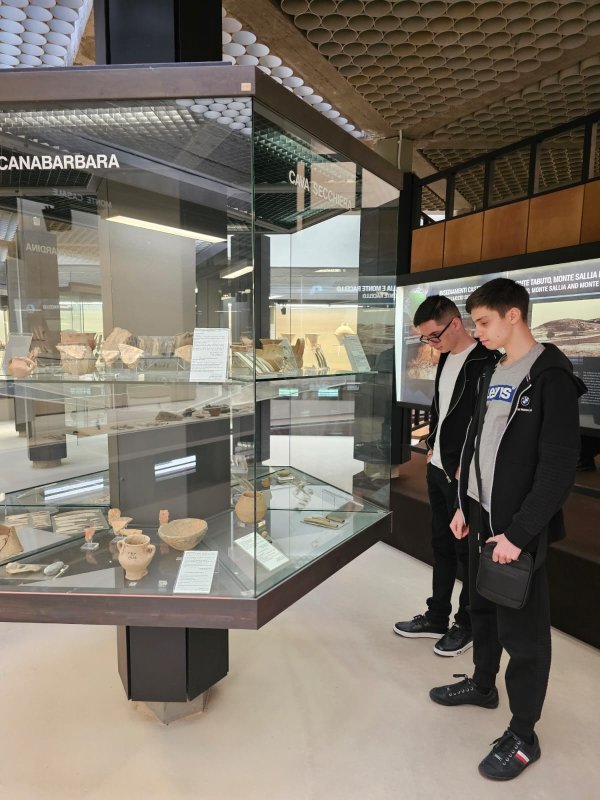 Din vecinătatea Vulcanilor noroioși la poalele Etnei  249440