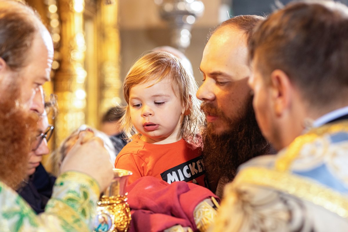 Sărbătorirea Sfântului Calinic la Mănăstirea Cernica 249745