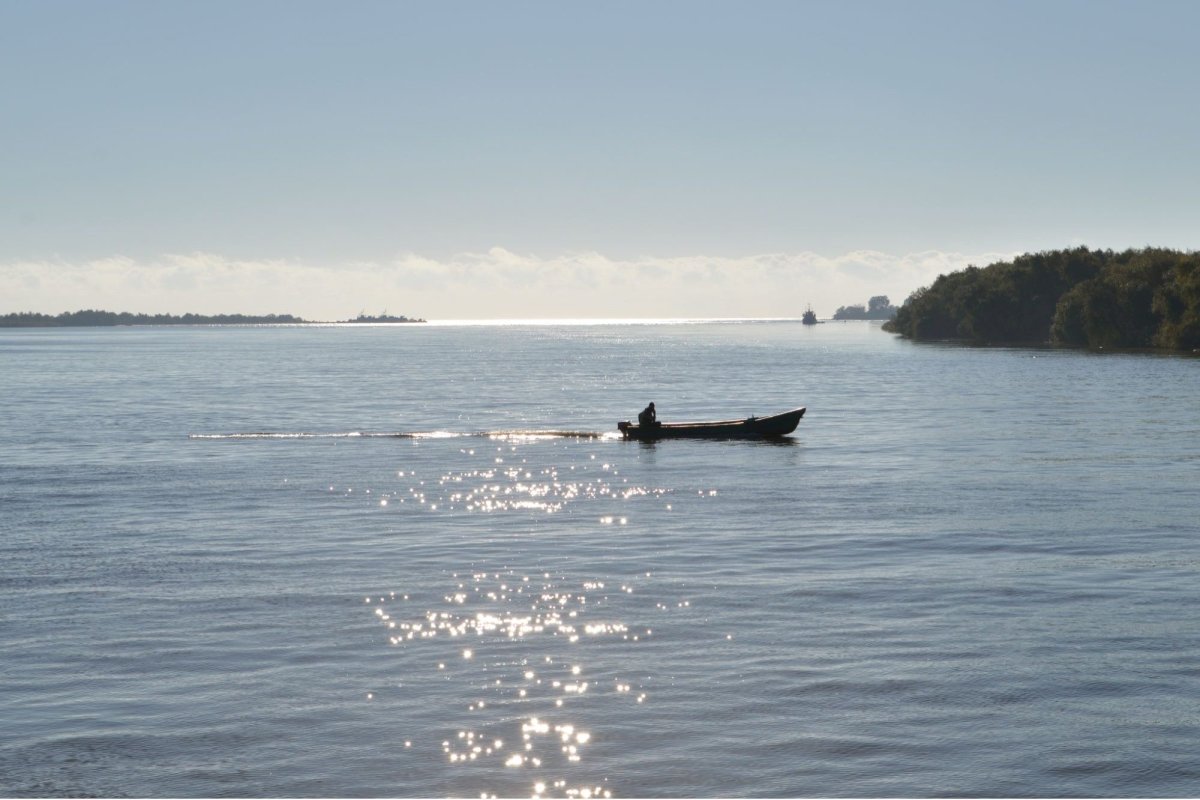 A început prohibiția generală la pescuit 249911