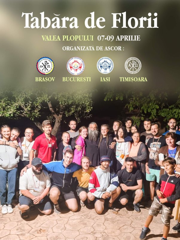 Tabără de voluntariat la Valea Plopului 249905