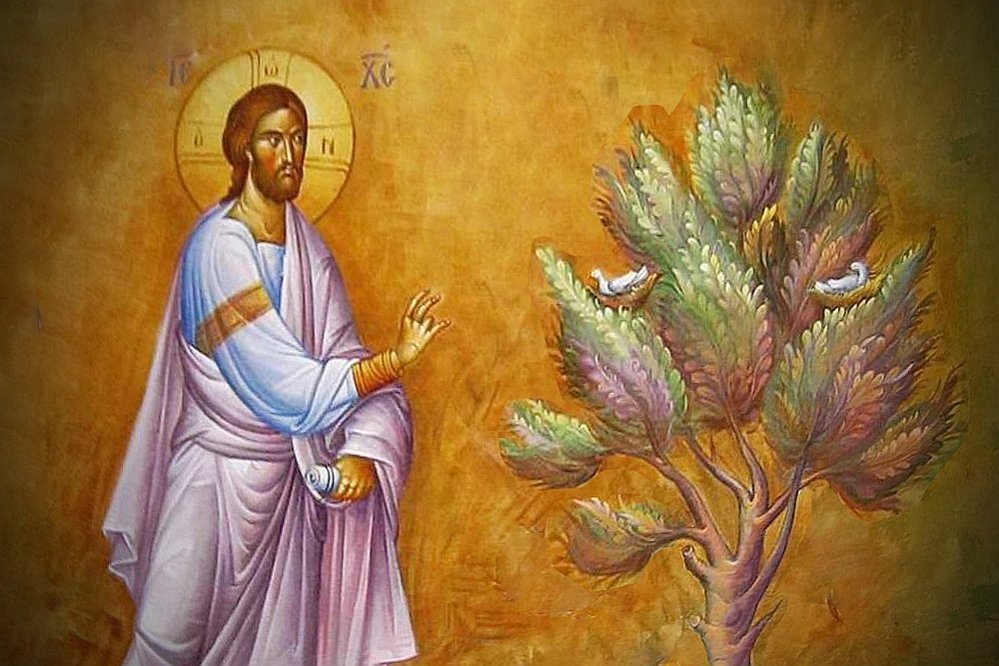 Blestemul nerodirii 250079