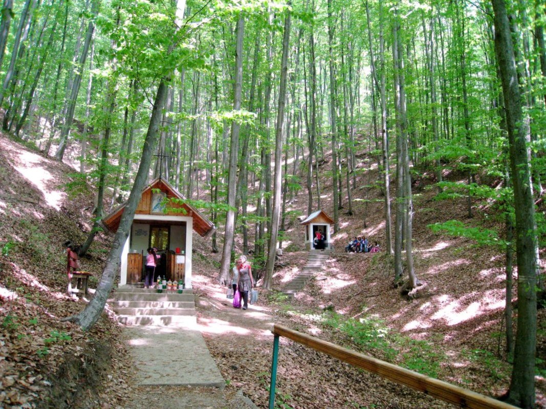 Izvorul Tămăduirii la ape binefăcătoare din țara noastră 251712