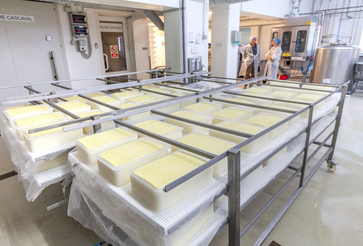 Vizite la ferme pentru elevii brașoveni 251754