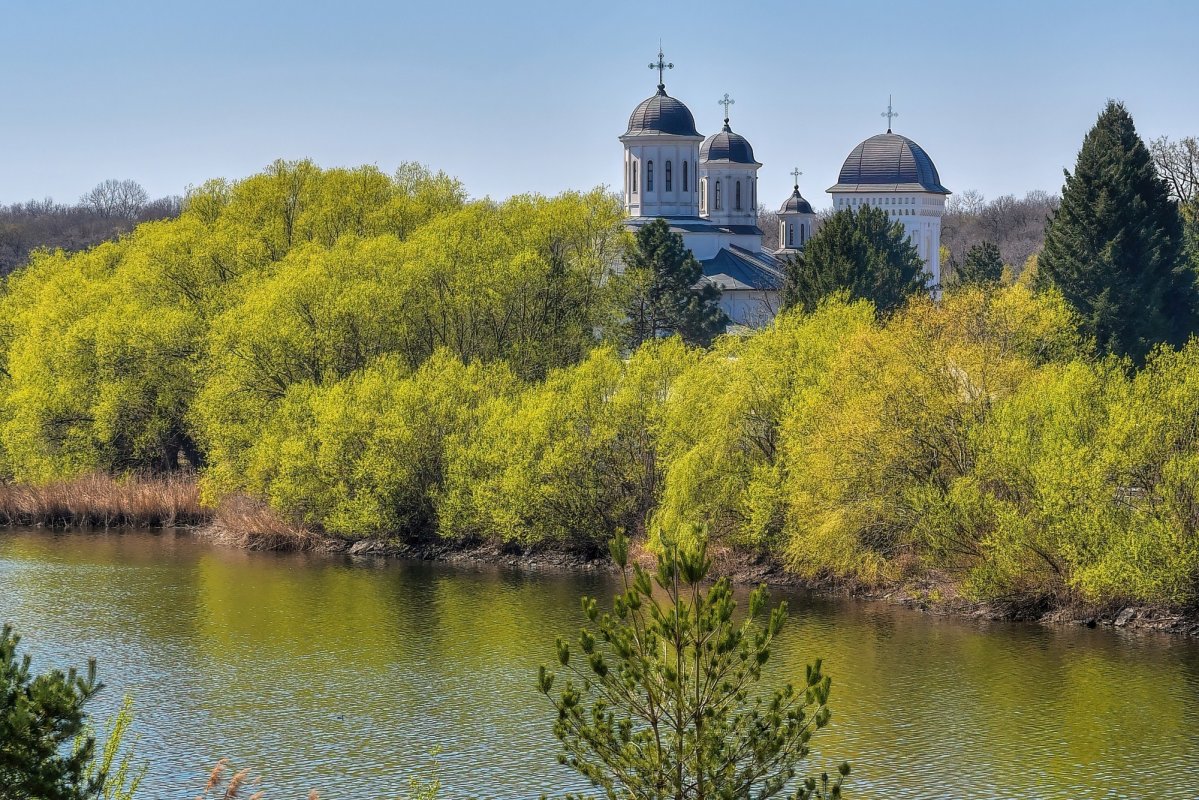 Sclipirile Luminii 252365