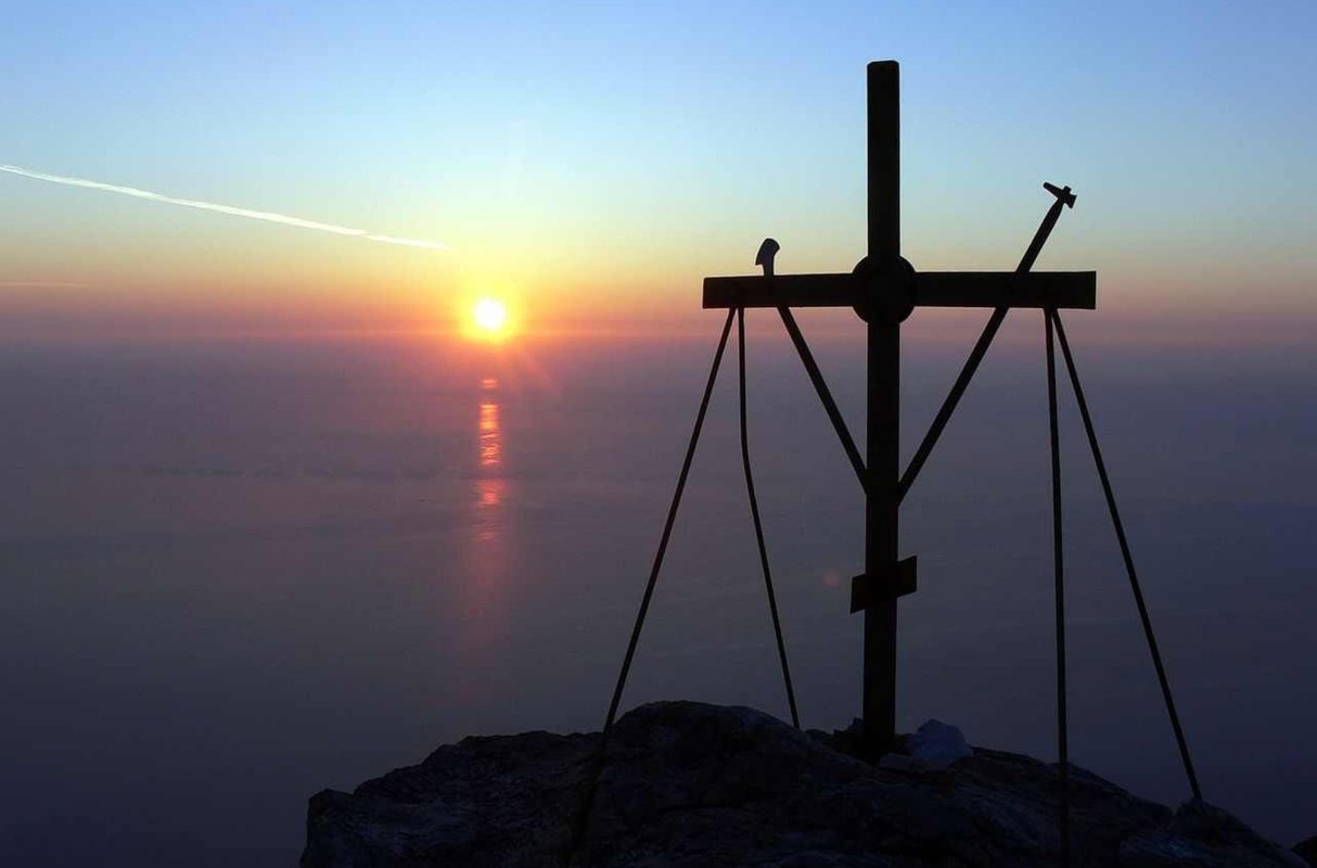 Tăierea voii 252904