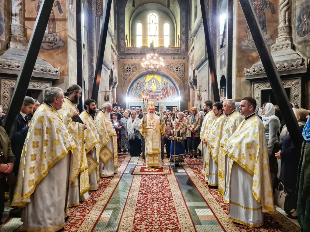 „Prin suferința altora, Dumnezeu ne dă posibilitatea de a pune în lucrare faptele milei creștine” 253359