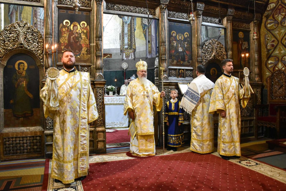 „Prin suferința altora, Dumnezeu ne dă posibilitatea de a pune în lucrare faptele milei creștine” 253363