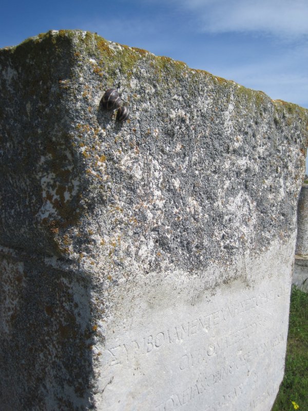 Cetatea Histria. Ieşirea din istorie, intrarea în Duh. Note de călătorie 253863