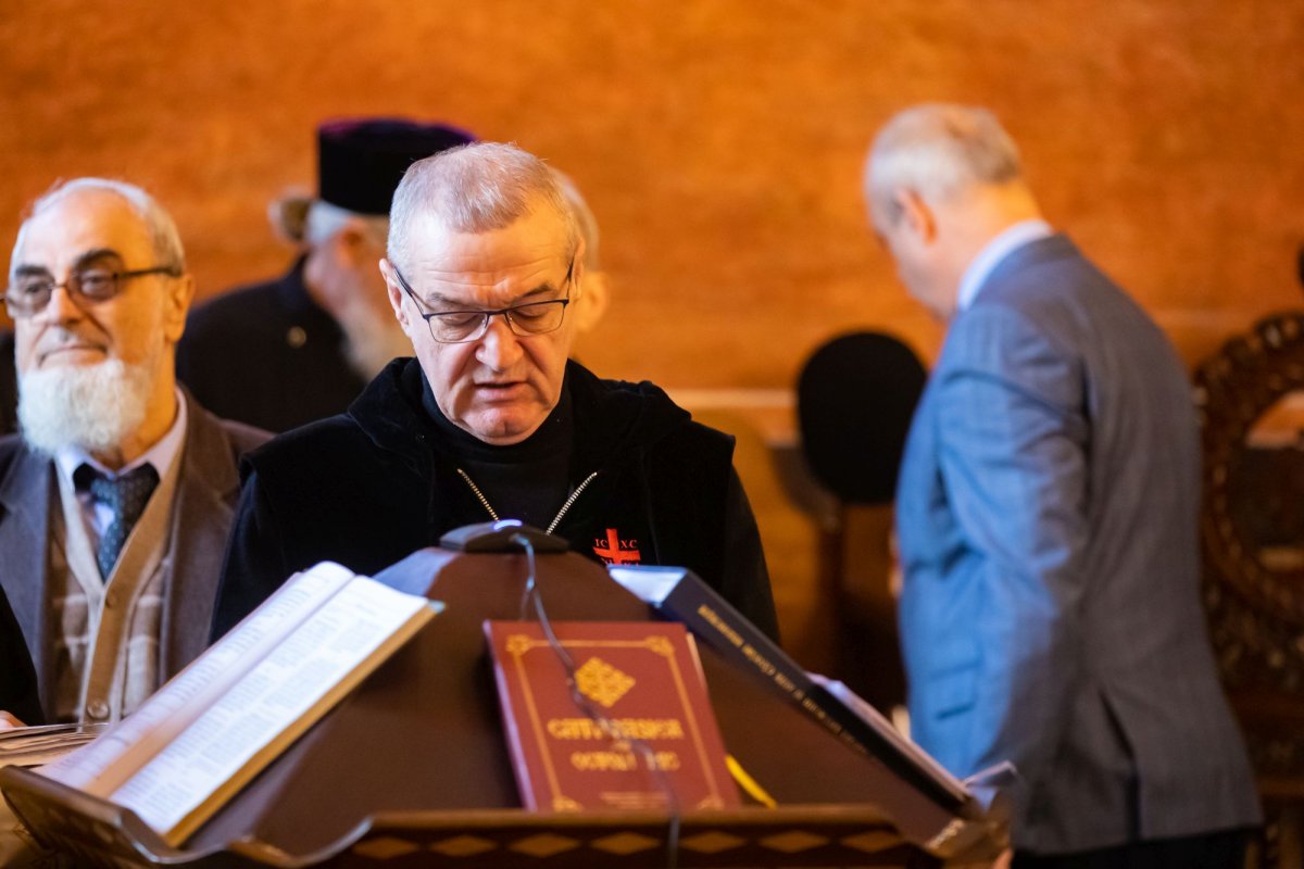 Duminica Samarinencei la Mănăstirea Cernica 254078