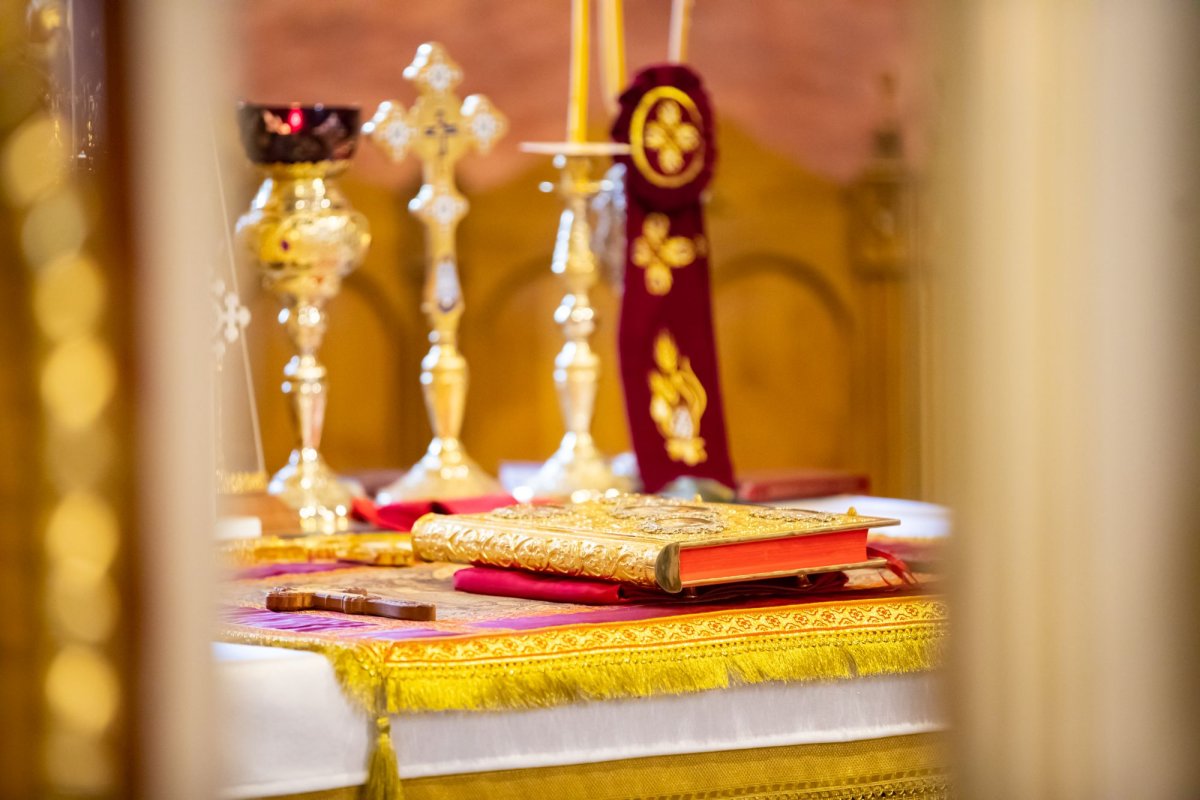 Duminica Samarinencei la Mănăstirea Cernica 254085