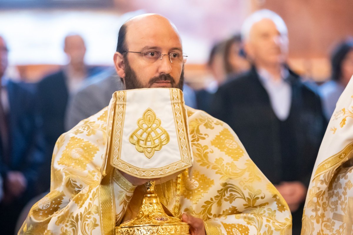 Duminica Samarinencei la Mănăstirea Cernica 254121