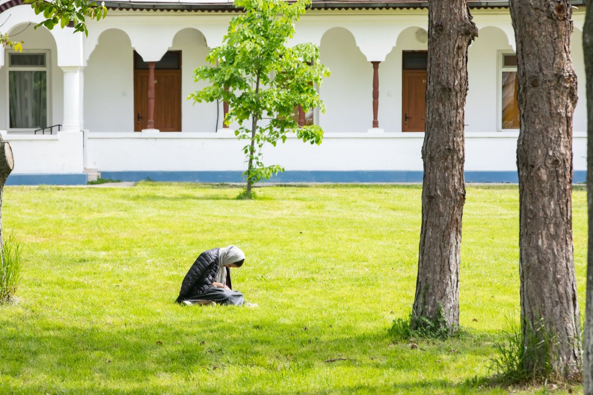 Duminica Samarinencei la Mănăstirea Cernica 254152