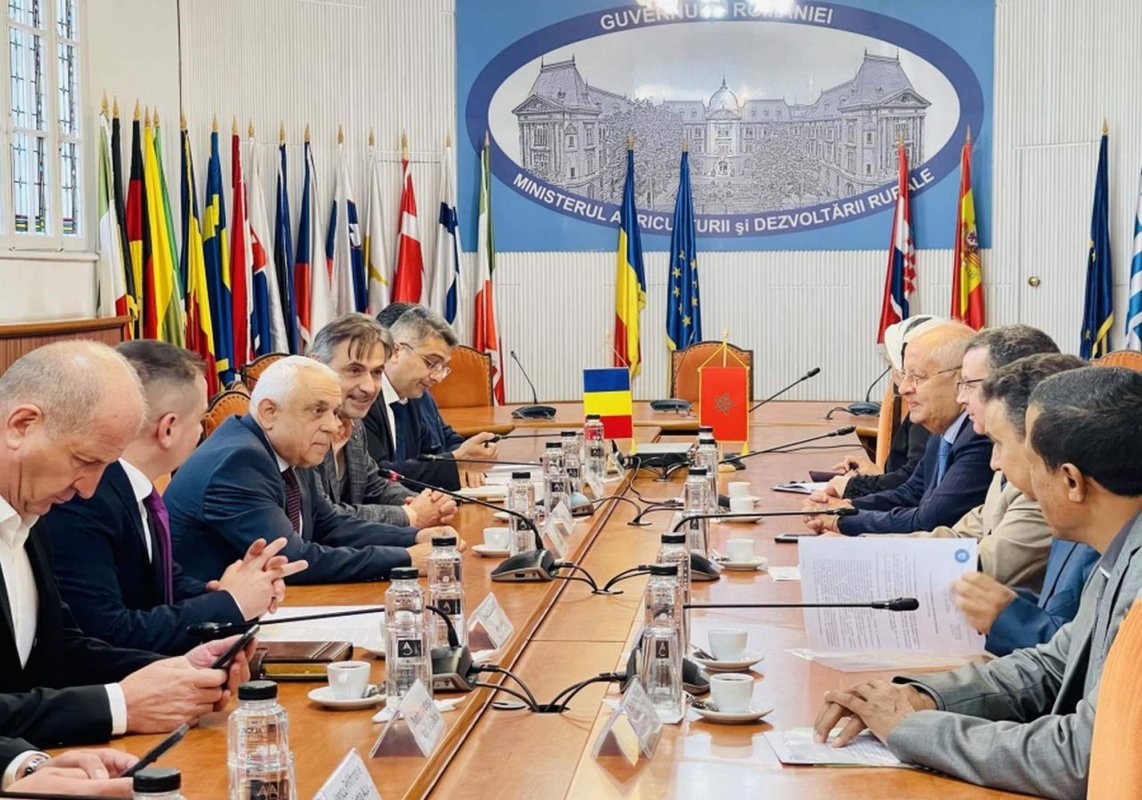 Noi oportunități pentru  exportul românesc de ovine  254170