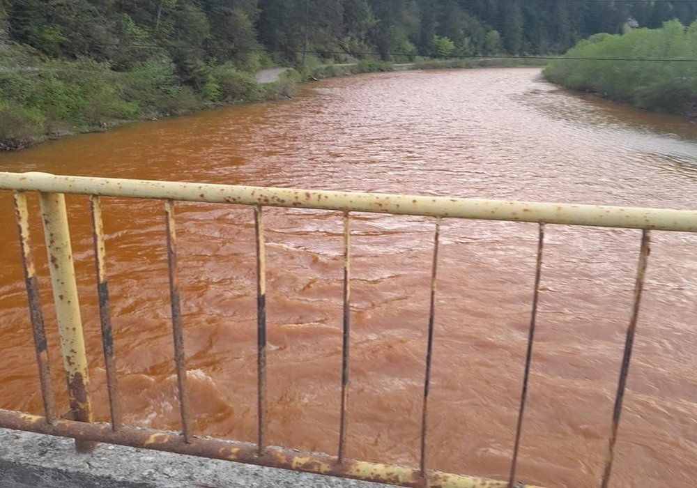 Poluare pe Bistrița 254290