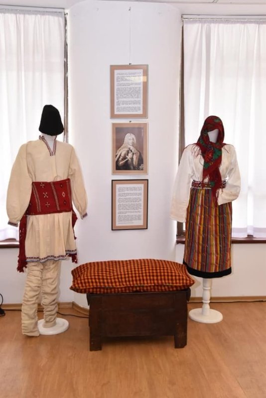 Vasluiul lui Cantemir la Muzeul Naţional al Satului 254279