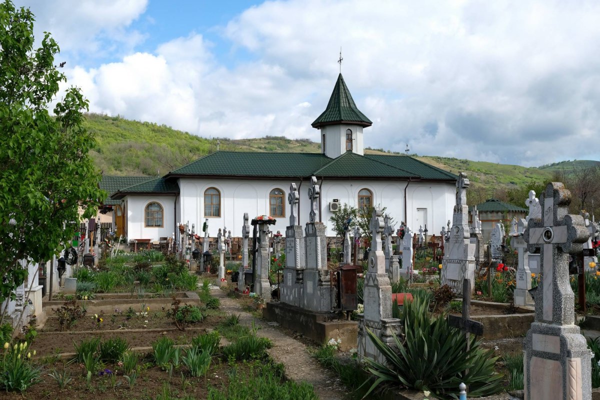 Ion Alexe, de la Valea Dulce, cântărețul lui Dumnezeu 254453