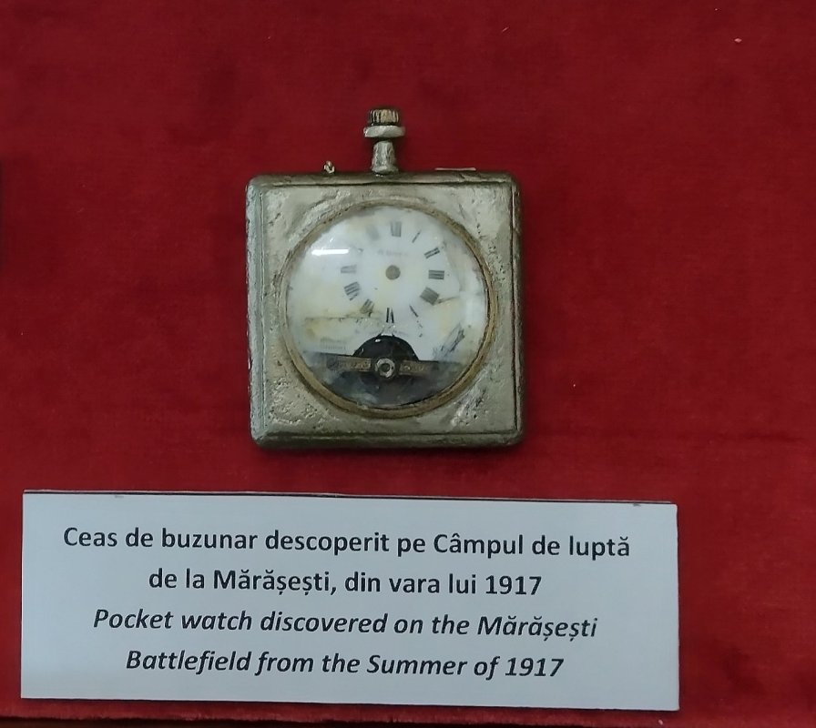 Pe urmele eroilor români la Muzeul Militar din Iaşi 255246