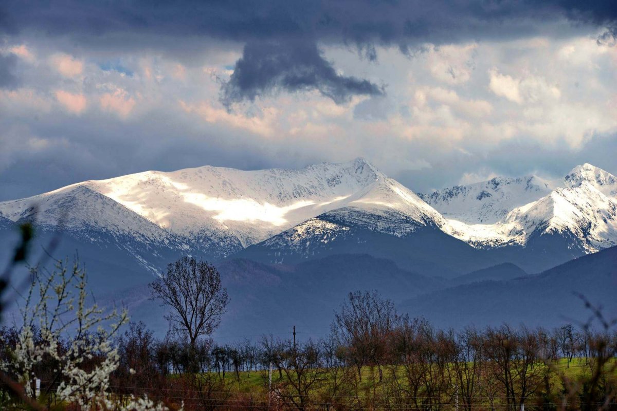 Sclipirile Luminii 255620