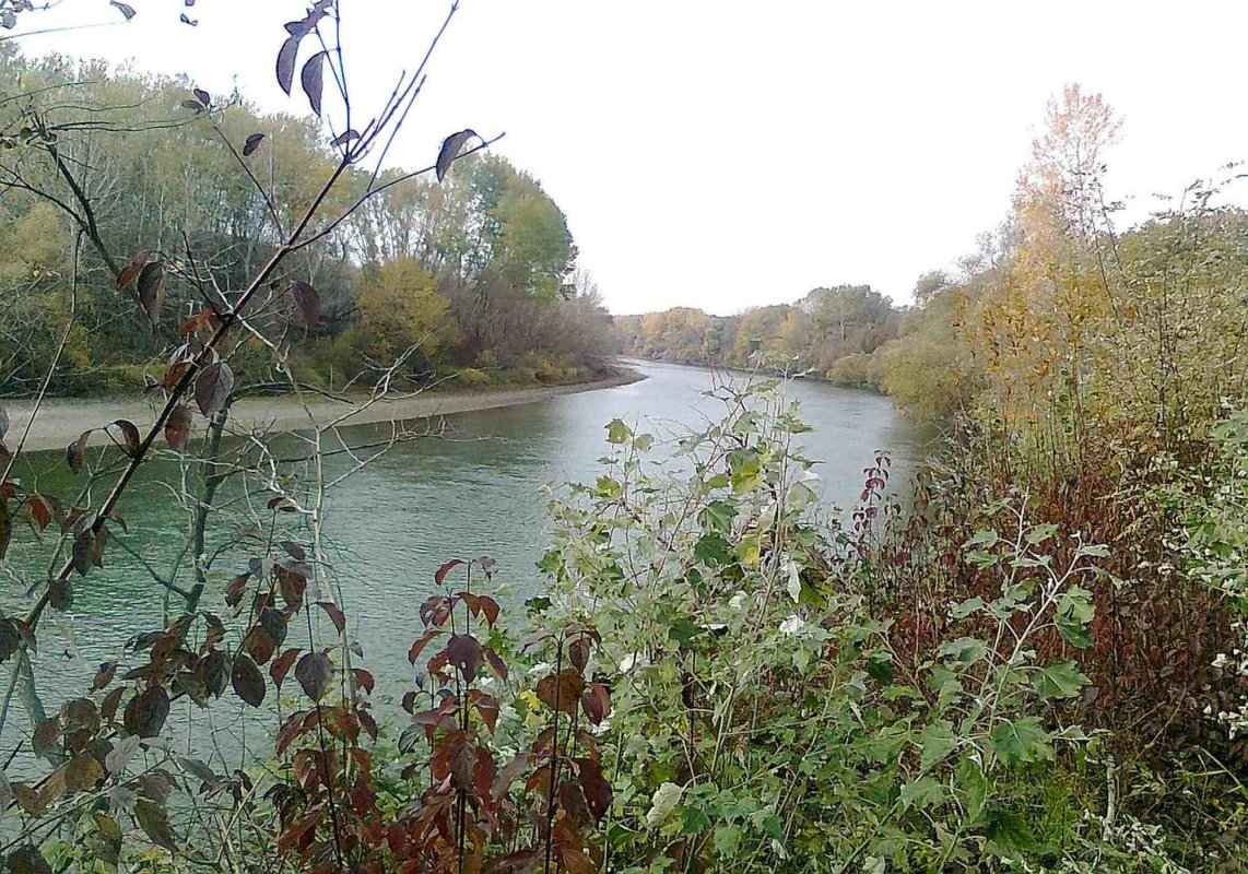 Toate lacrimile noastre 255624