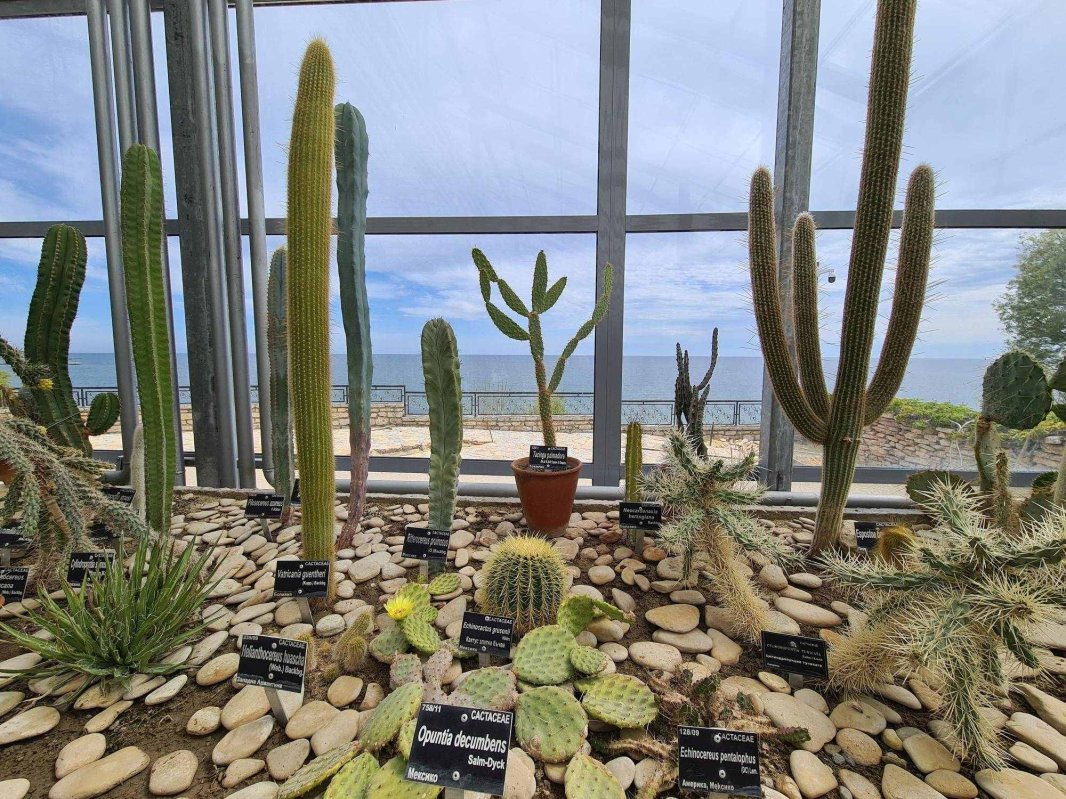 Balcic, cel mai fermecător loc de întâlnire cu istoria 254701