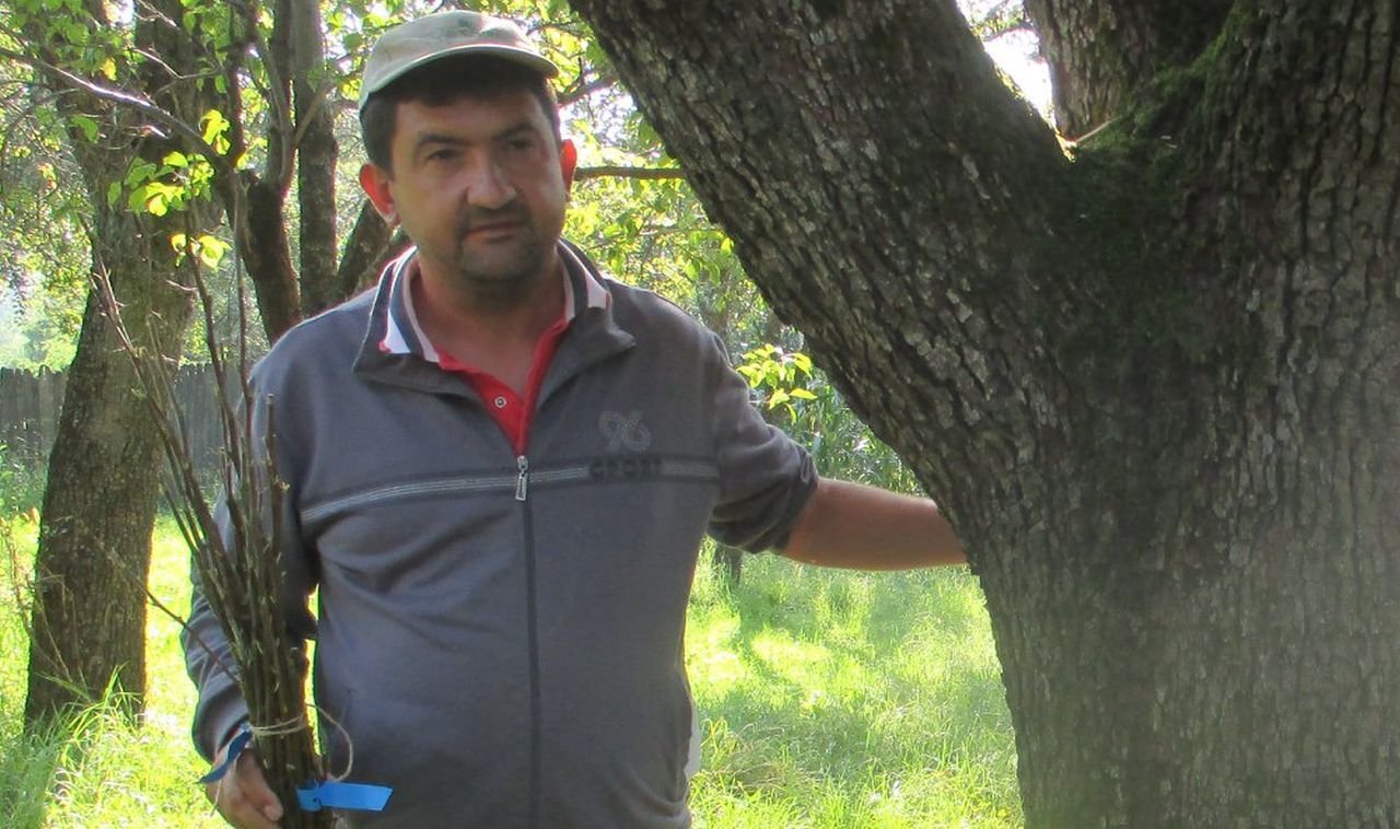 Cireşele de mai vor fi culese la 1 iunie 256160