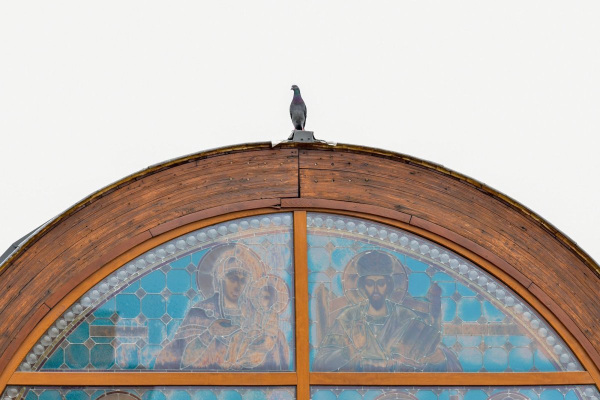 Cine este Mângâietorul? 256330