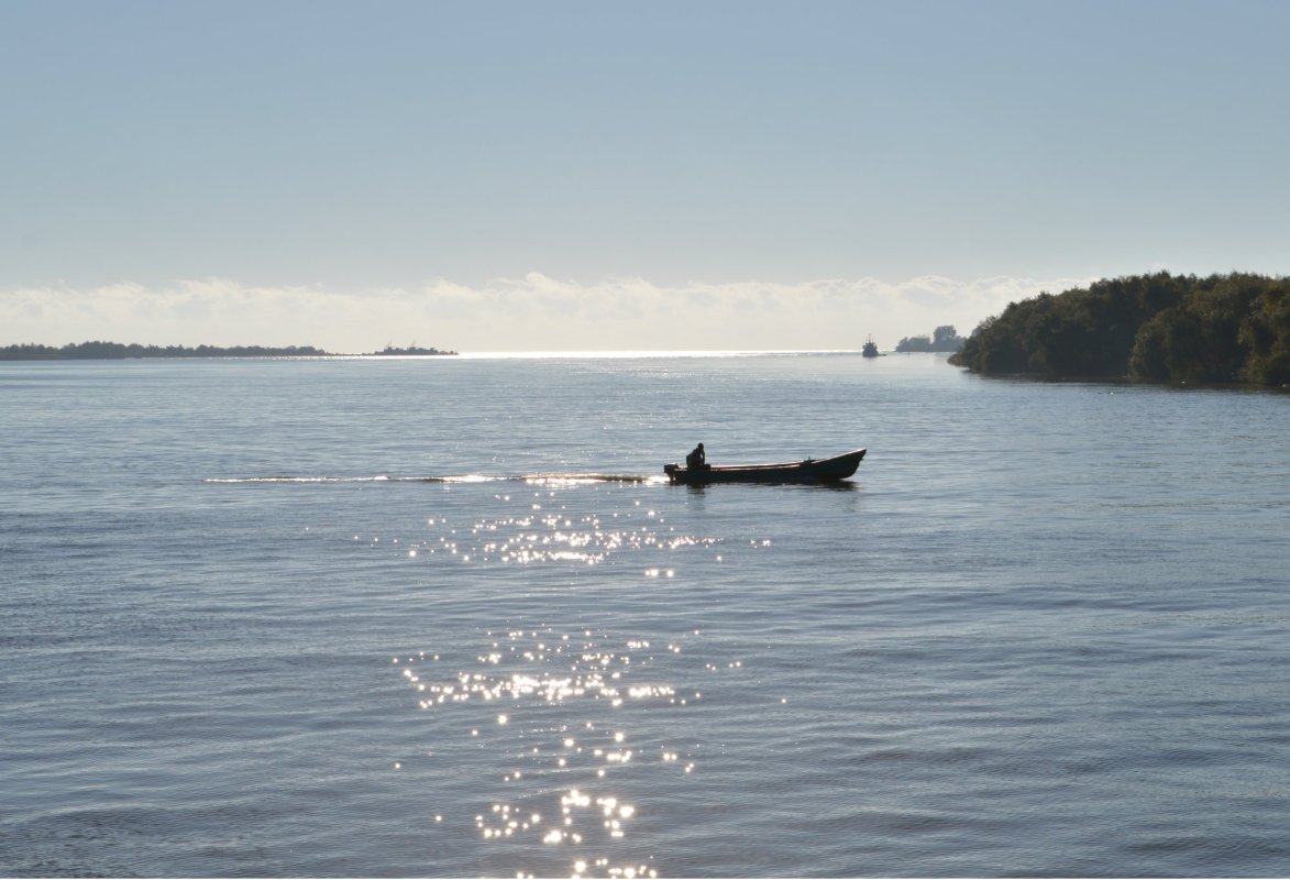 Se reia pescuitul în Dunăre 257212