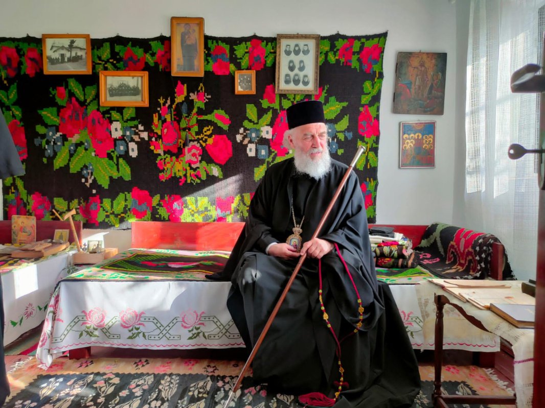 Zestrea din cufărul viitorului 257499