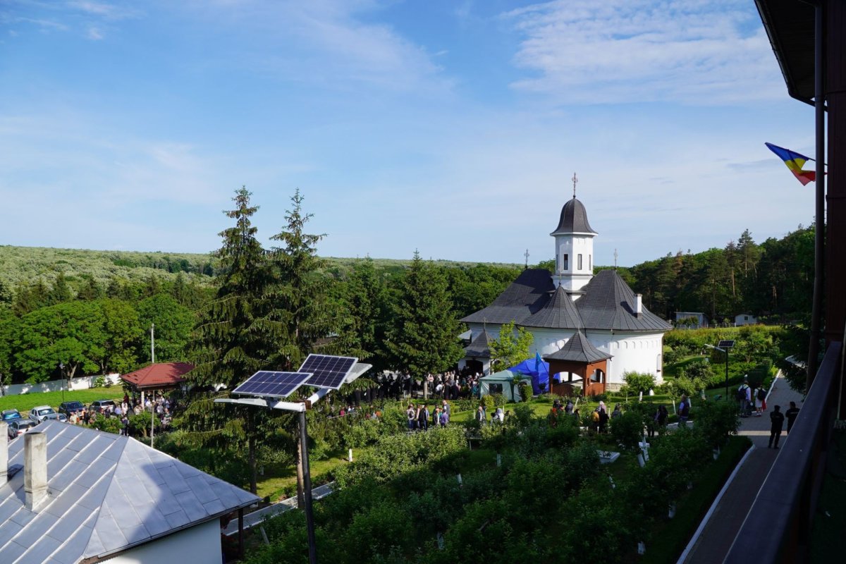 Zestrea din cufărul viitorului 257500