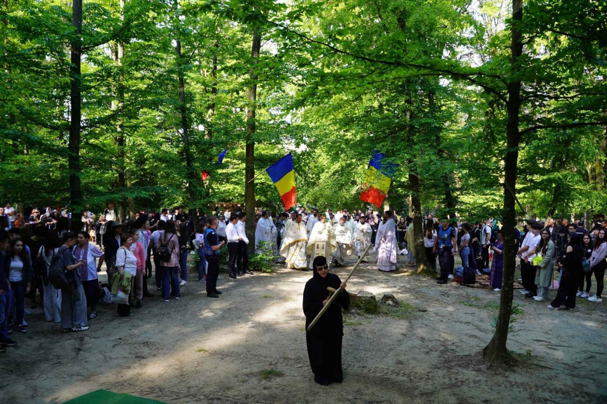 Zestrea din cufărul viitorului 257501