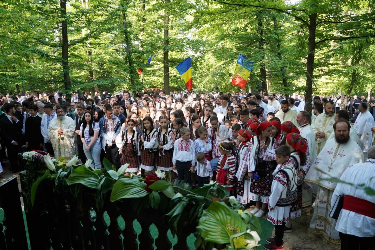 Zestrea din cufărul viitorului 257502