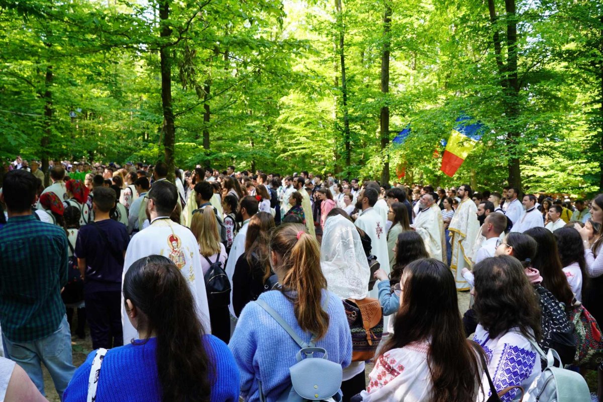 Zestrea din cufărul viitorului 257503