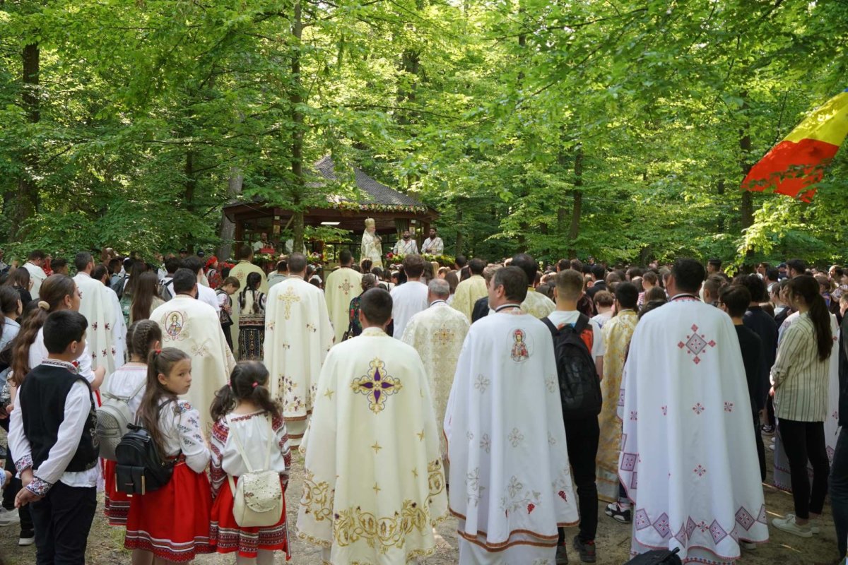 Zestrea din cufărul viitorului 257504