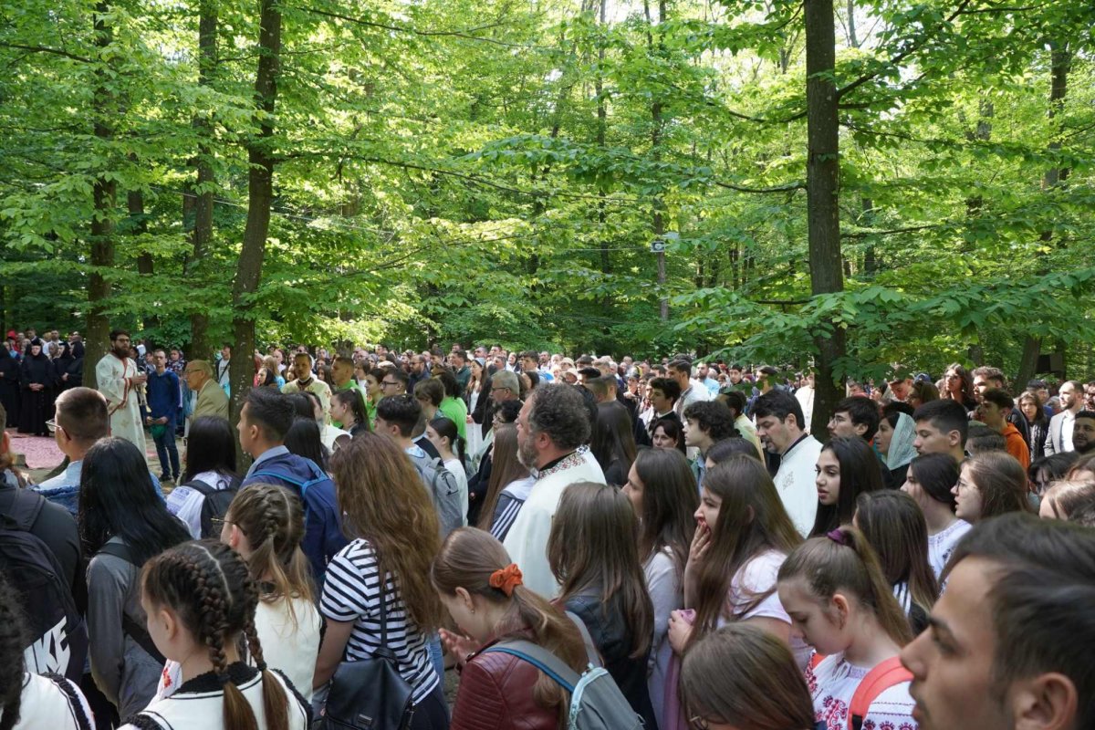 Zestrea din cufărul viitorului 257505