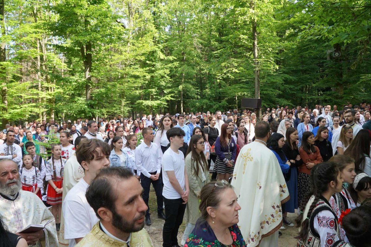 Zestrea din cufărul viitorului 257506