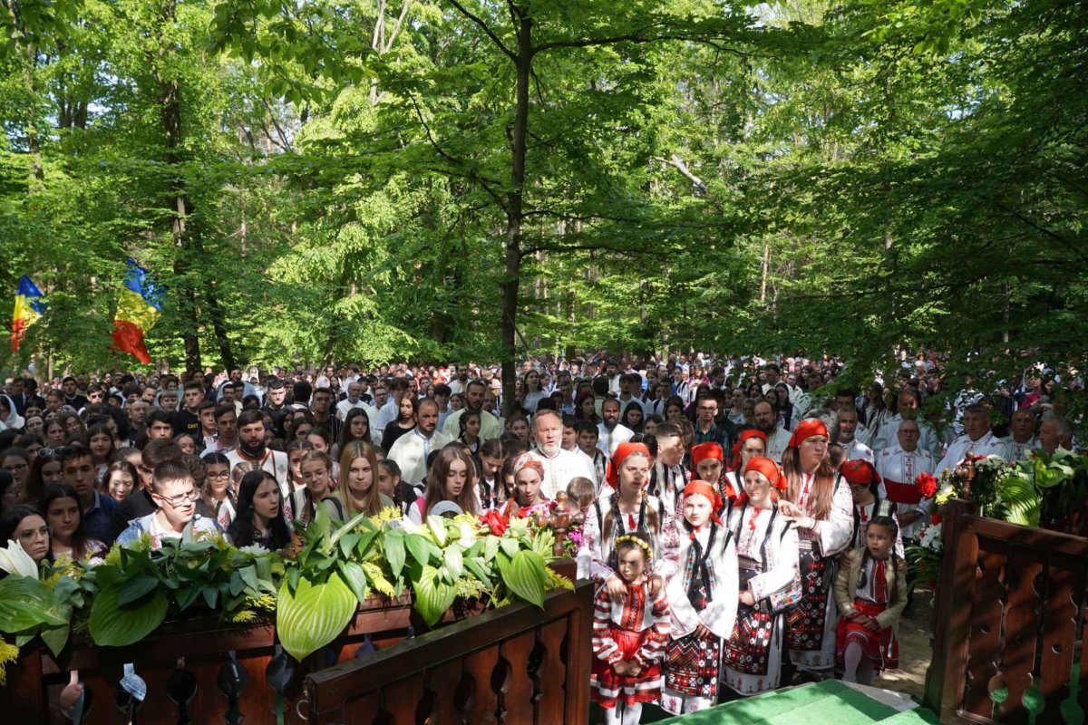 Zestrea din cufărul viitorului 257507