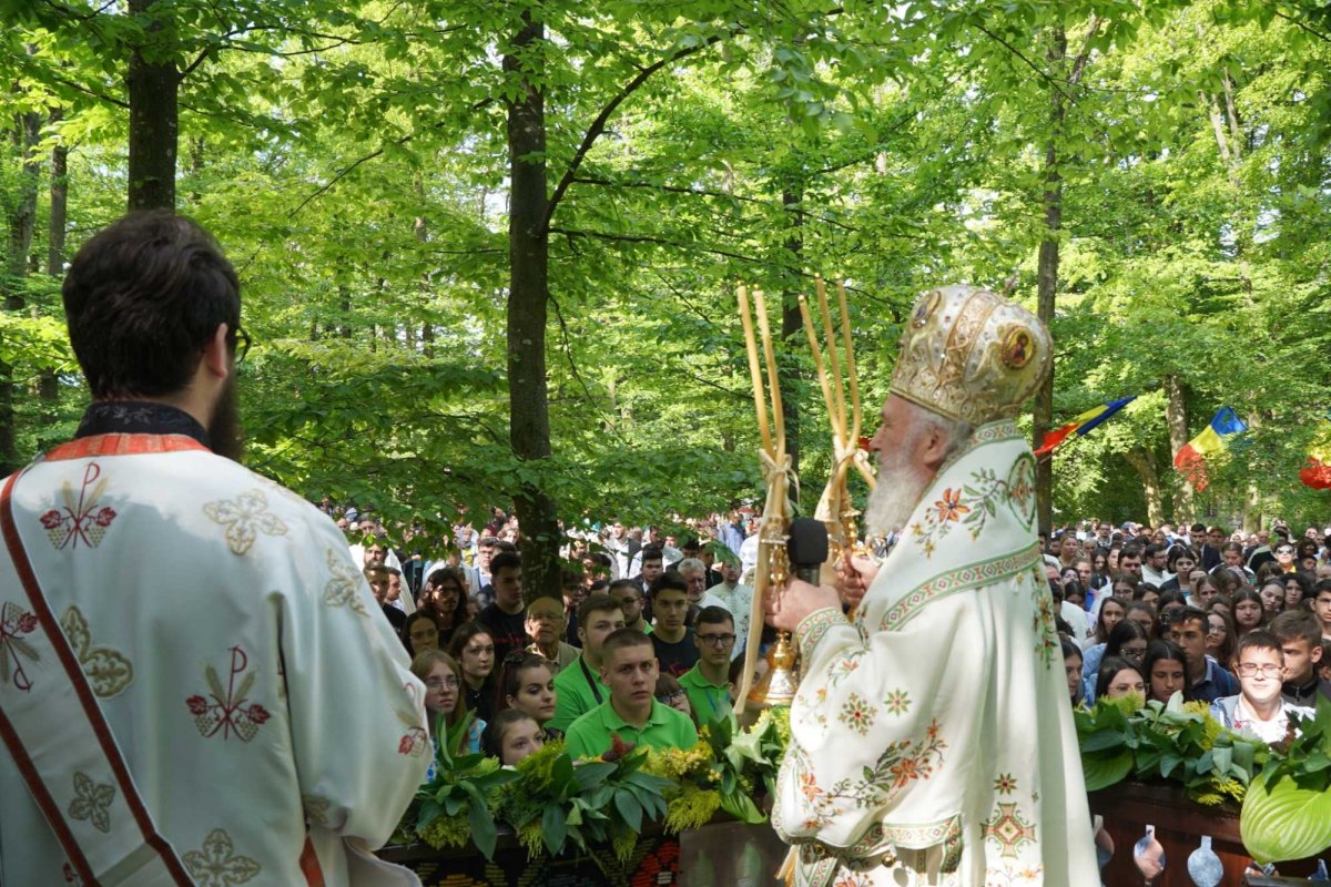 Zestrea din cufărul viitorului 257508